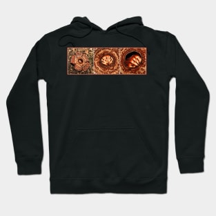 Male Rafflesia pricei Flower - Composite View Hoodie